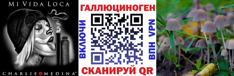 как найти закладки  Трубчевск  Галлюциногенные грибы мицелий 
